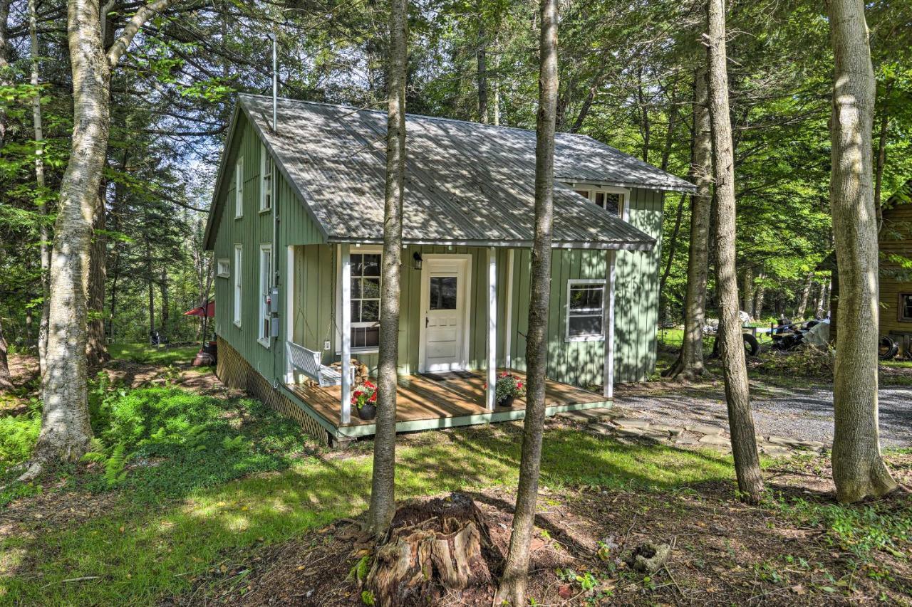 Adirondacks Cabin With Fire Pit On Otter Lake! Forestport Exterior photo